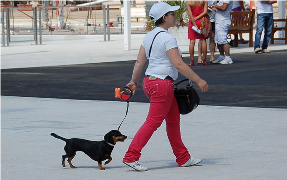 Nuova area attrezzata per cani in piazza San Michele