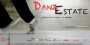 DanzEstate 2014