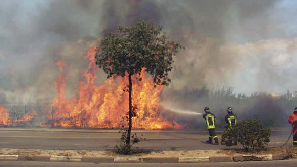 Prevenzione incendi. Pubblicata l'Ordinanza che impone la manutenzione dei terreni a rischio