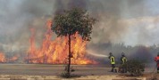 Prevenzione incendi. Pubblicata l'Ordinanza che impone la manutenzione dei terreni a rischio