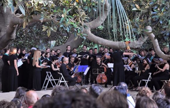 Bach under the tree