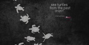 Le Meraviglie del Possibile chiude la II edizione con l'installazione "Sea Turtles from the Past”
