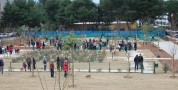 Circu de Soli, un nuovo giardino per il quartiere Mulinu Becciu