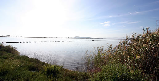 Bacini d'acqua