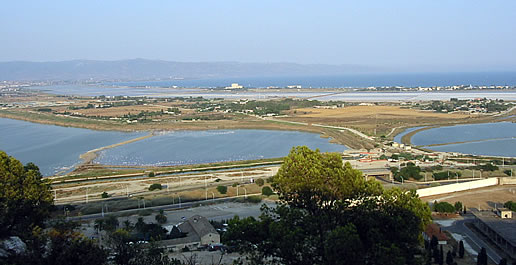 Panorama su Molentargius - Saline