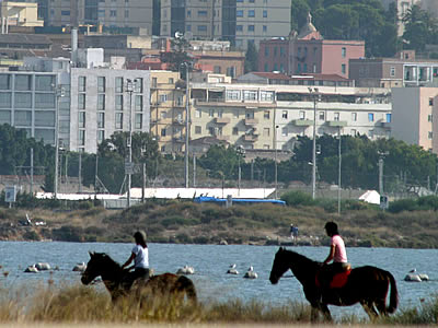 Lungo la laguna a cavallo